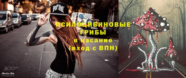 кокс Баксан