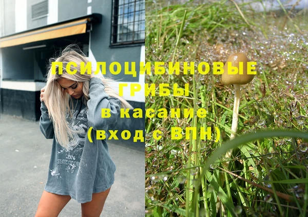 кокс Баксан