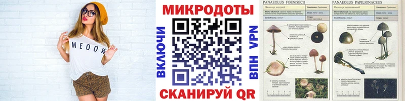 купить  сайты  Котельниково  MEGA как зайти  дарк нет состав  Галлюциногенные грибы прущие грибы 